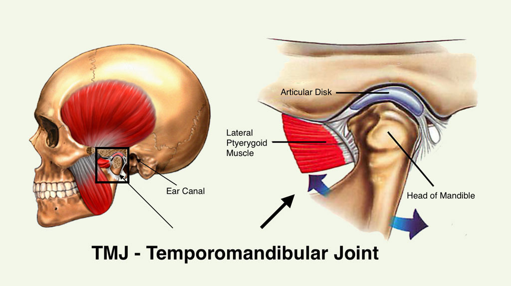 TMJ-Joint-2